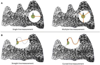 Measuring coral disease lesions: a comparison of methodologies